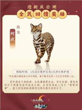 迦楼天龙八部私服